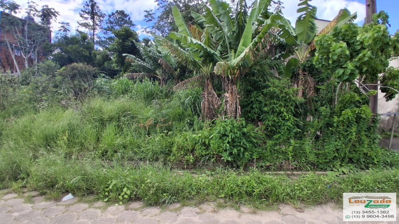 Terreno, 300 m² - Foto 2