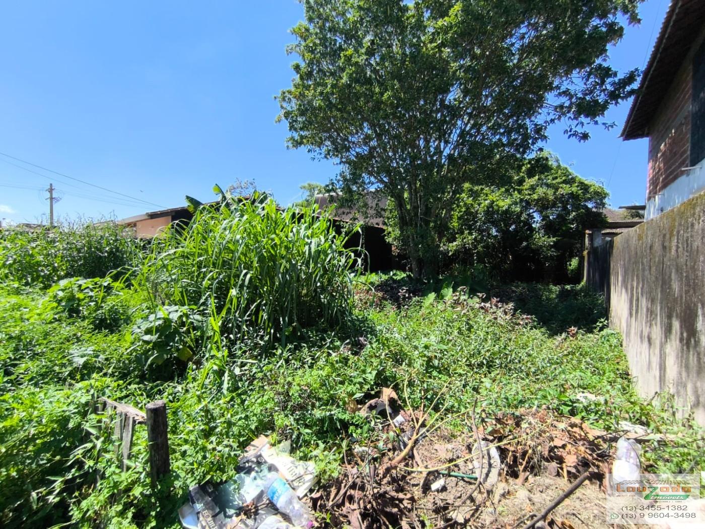 Terreno, 300 m² - Foto 3