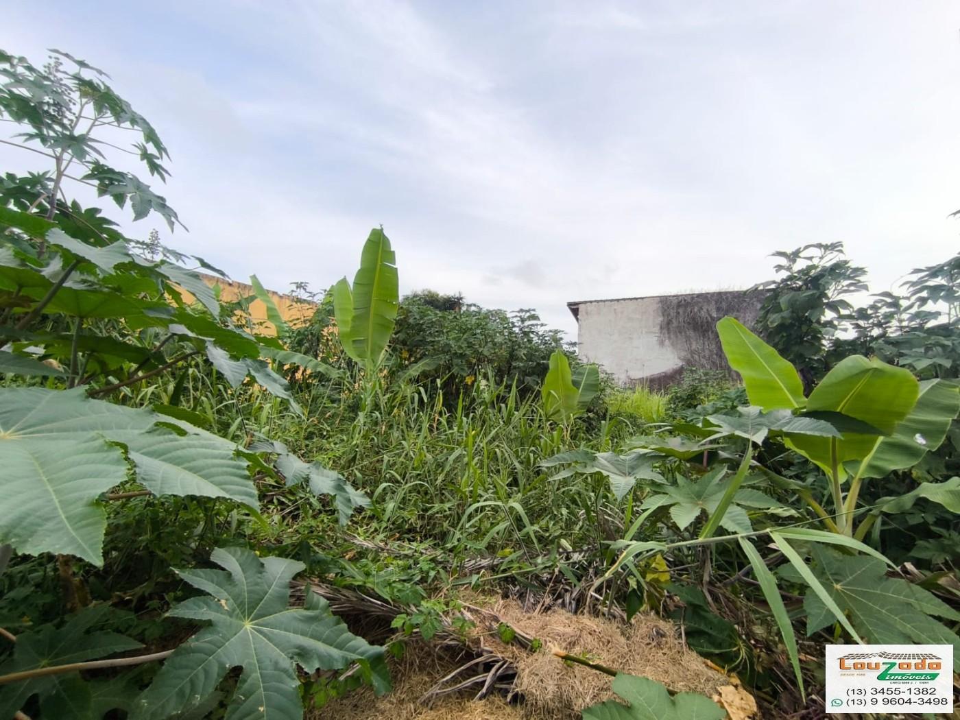 Terreno, 348 m² - Foto 5