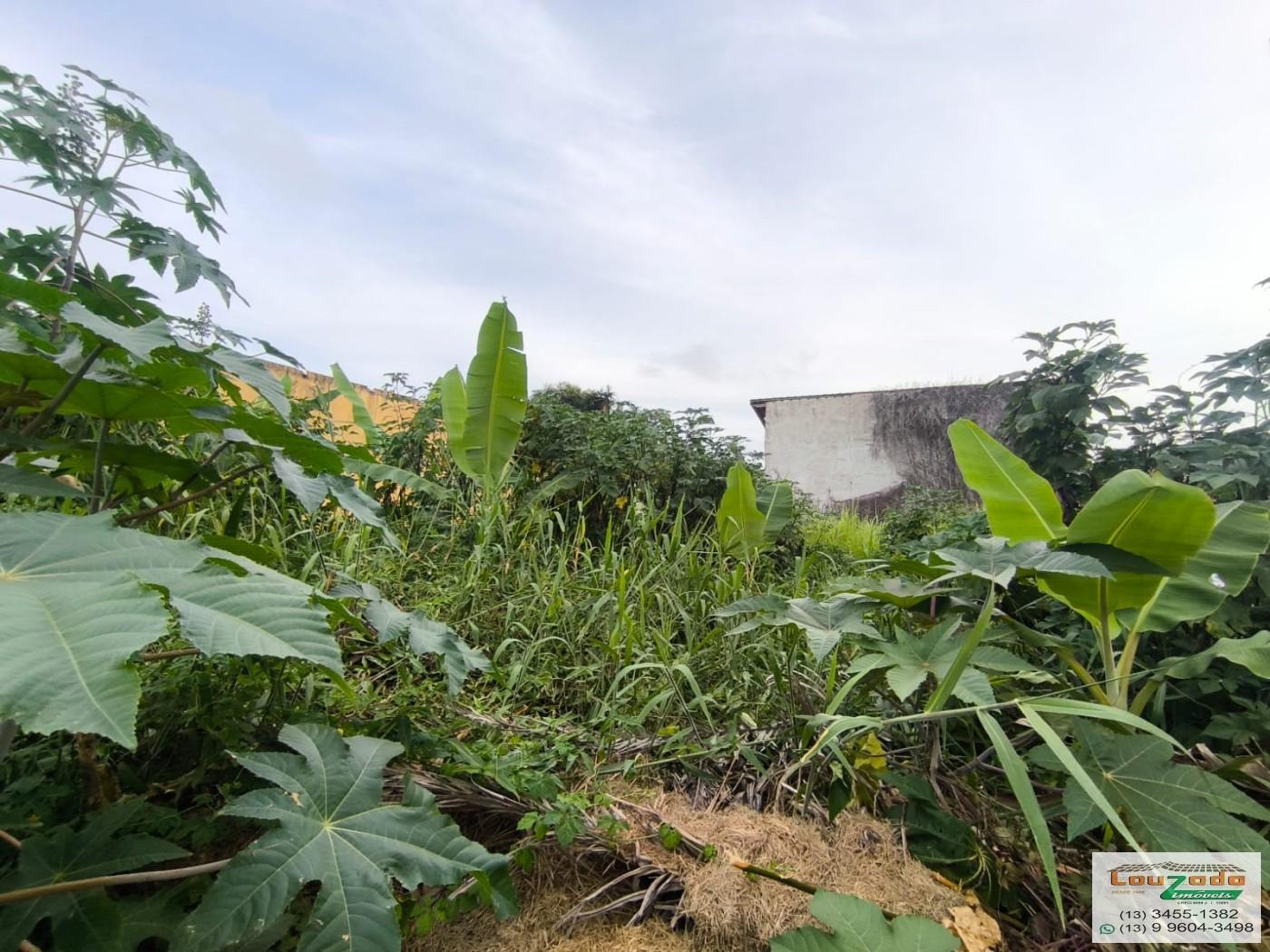 Terreno, 348 m² - Foto 5