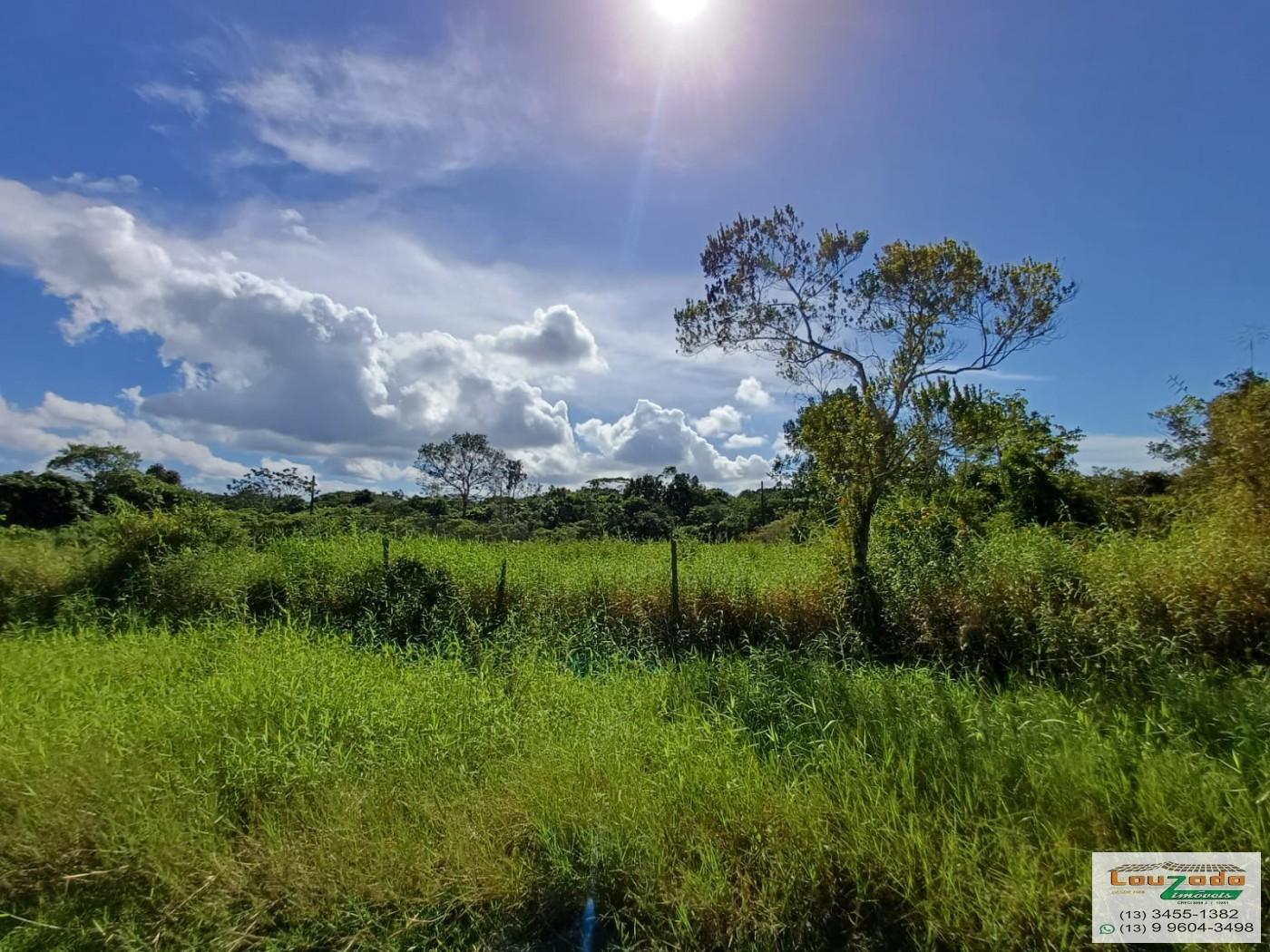 Terreno, 250 m² - Foto 3
