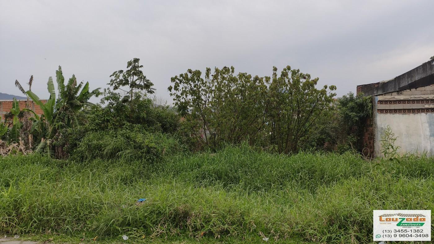 Terreno, 250 m² - Foto 3