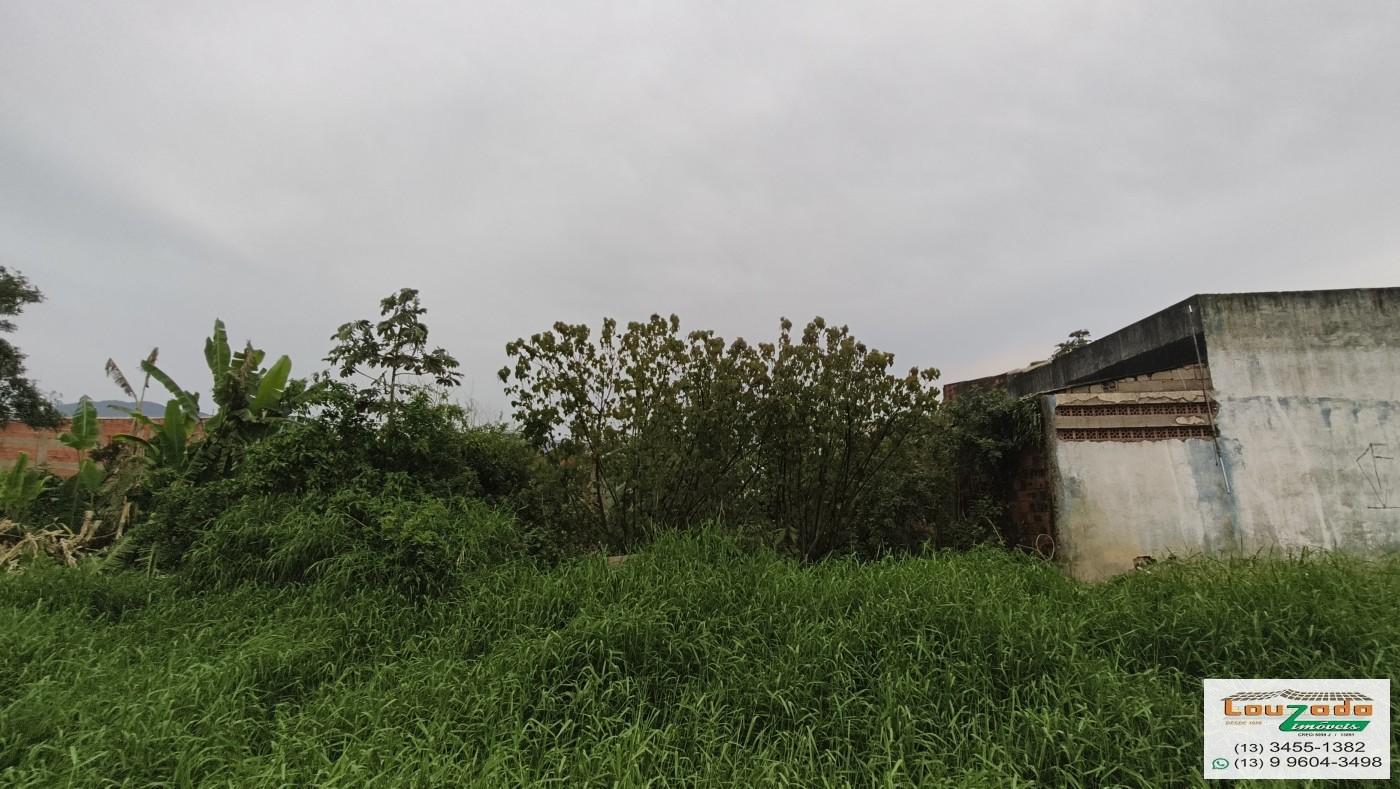 Terreno, 250 m² - Foto 8