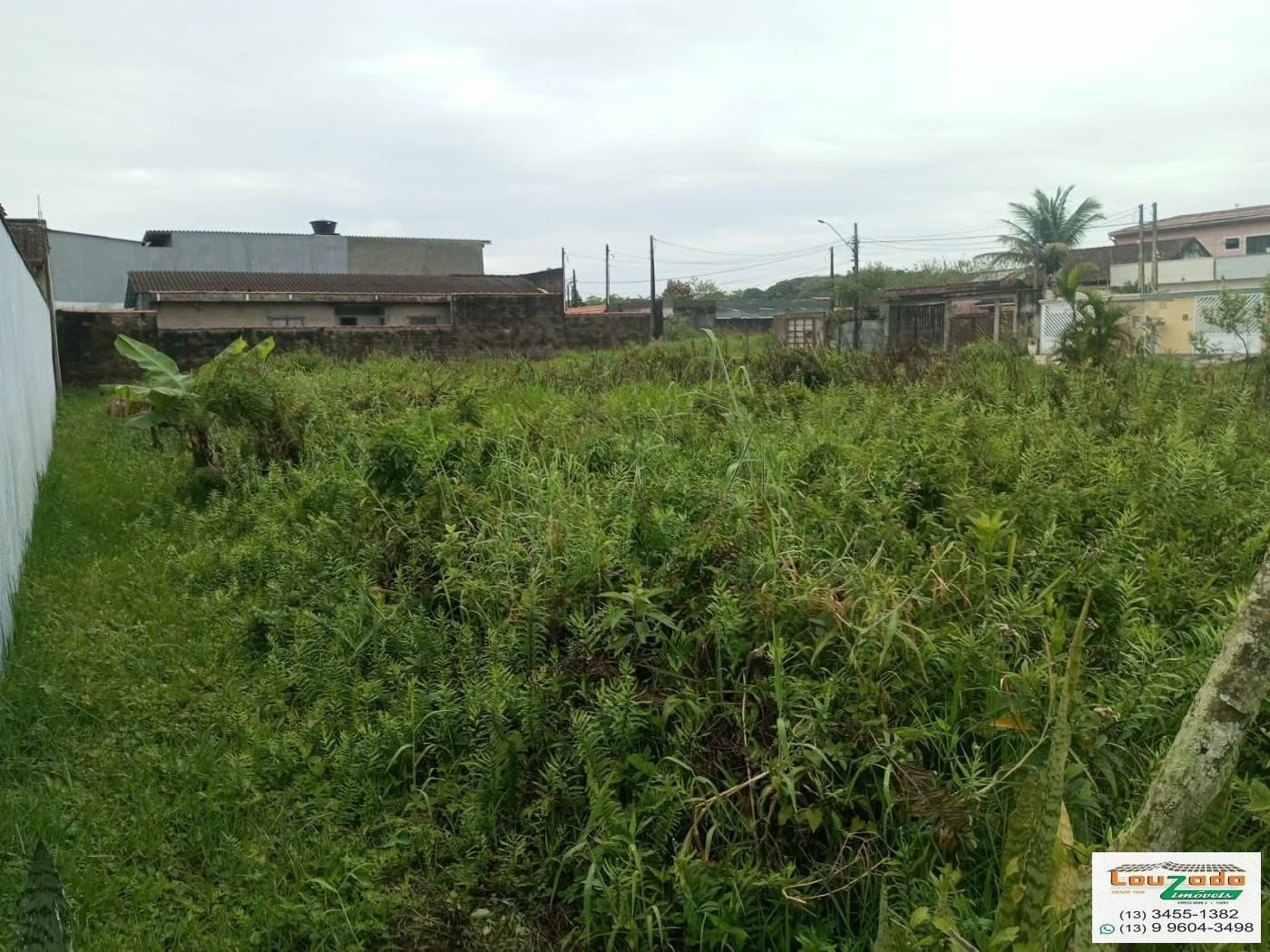 Terreno, 250 m² - Foto 1