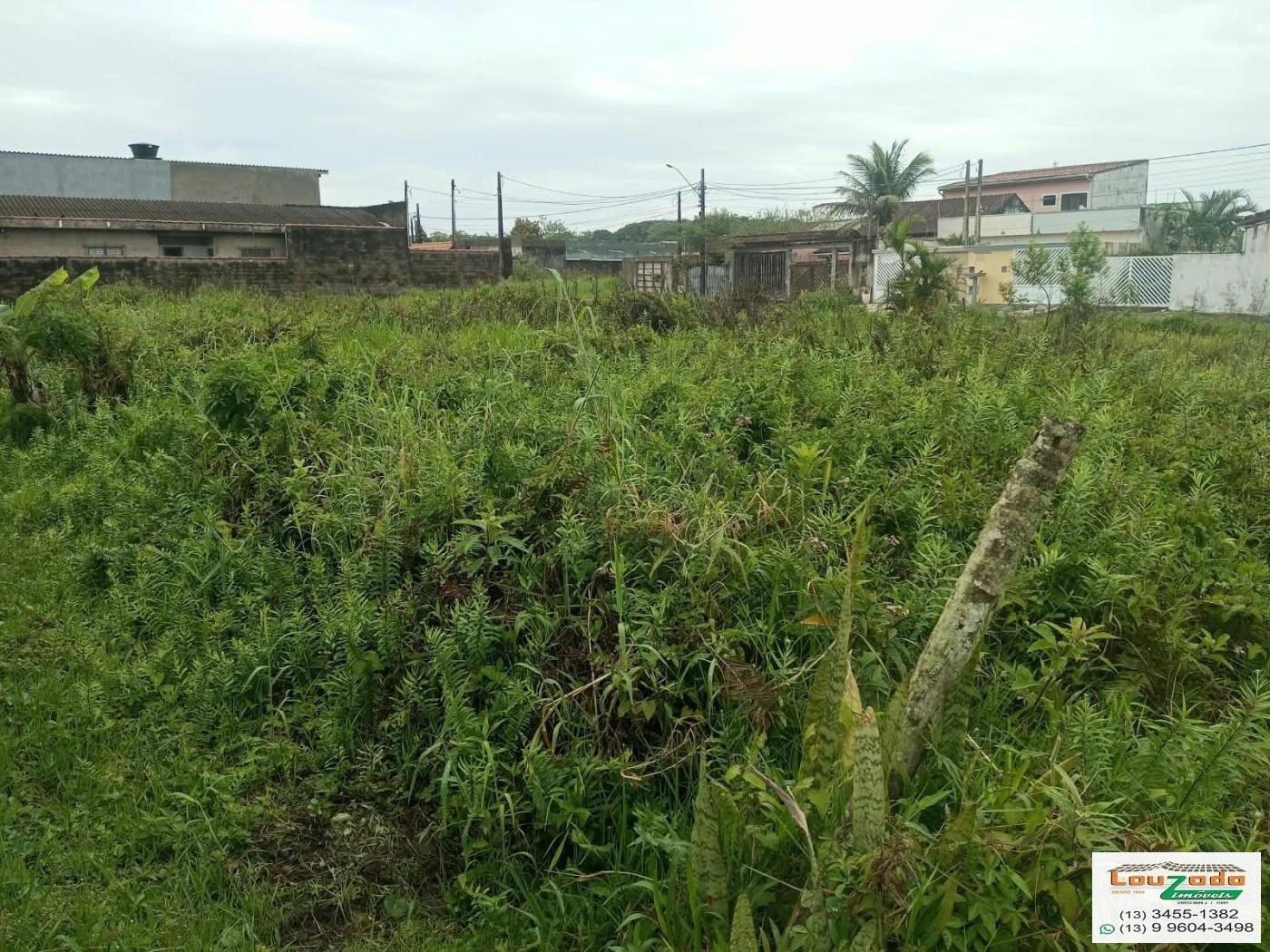Terreno, 250 m² - Foto 3